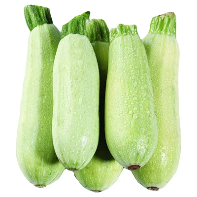 Kabak 6-7 Kg Lık Plastik Kasada Kg (7'li Paket) ürün görseli 1
