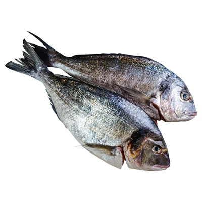 Çipura Yazlık Temizlenmiş (400-600G) Kg (2'li Paket) ürün görseli 1