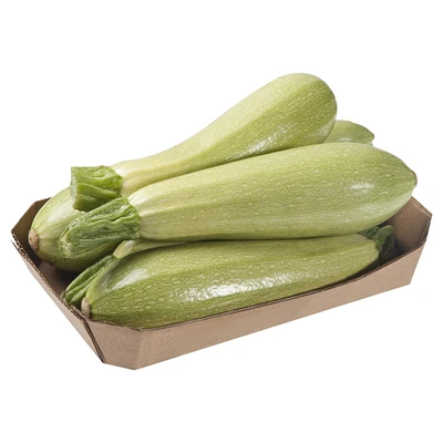 Kabak 1 Kg Lık Tabakta Kg (8'li Paket) ürün görseli 1