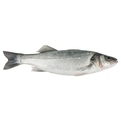 Levrek Yazlık (400-600G) Kg (5'li Paket) ürün görseli 1