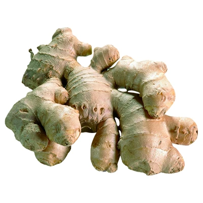 Zencefil 5Kg Lık Kutuda Kg (8'li Paket) ürün görseli 1
