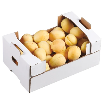 Kayısı Iğdır 3 Kg Lık Mini Kutuda Kg (6'li Paket) ürün görseli 1