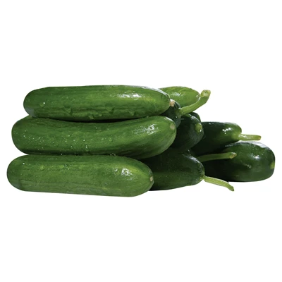 Salatalık 7-8 Kg Lık Kutuda Kg (8'li Paket) ürün görseli 1