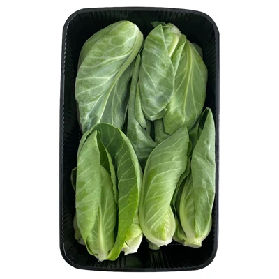 Cibes Orta Boy (5'li Paket) ürün görseli 1