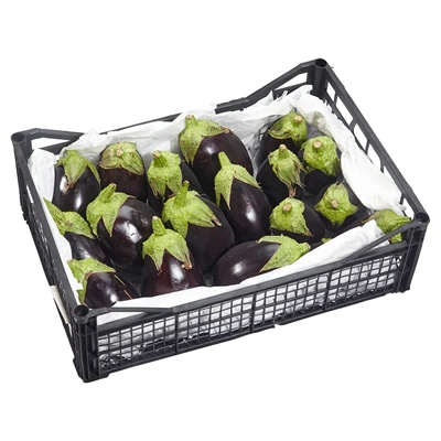 METRO Chef Patlıcan Bostan 6-7 Kg Lık Kutuda Kg (6'li Paket) ürün görseli 1