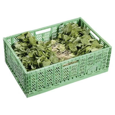 Roka Kasa 16Li (7'li Paket) ürün görseli 1