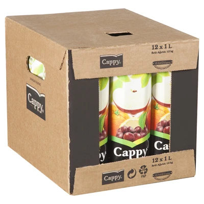 Cappy Meyve Suyu 12 X 1 L Multıfruıt (8'li Paket) ürün görseli 1