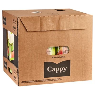 Cappy Meyve Suyu 12 X 1 L Ekşi Elma (8'li Paket) ürün görseli 1