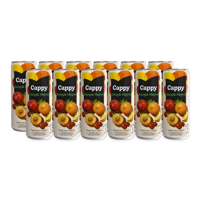 Cappy Meyve Suyu 330Ml Multıfrut 12Ad (2'li Paket) ürün görseli 1