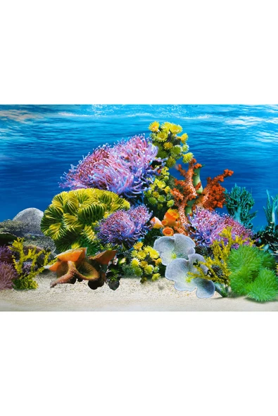 Arka Fon (Mercan Bahçesi) Uzunluk 50 Cm (YÜKSEKLİK 30 CM) No:9024 ürün görseli 1