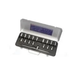 İzeltaş 1113006017 1/2'' Lokmalı Allen ve Star (Torx®) Uç Takımı 17 Parça ürün görseli 1