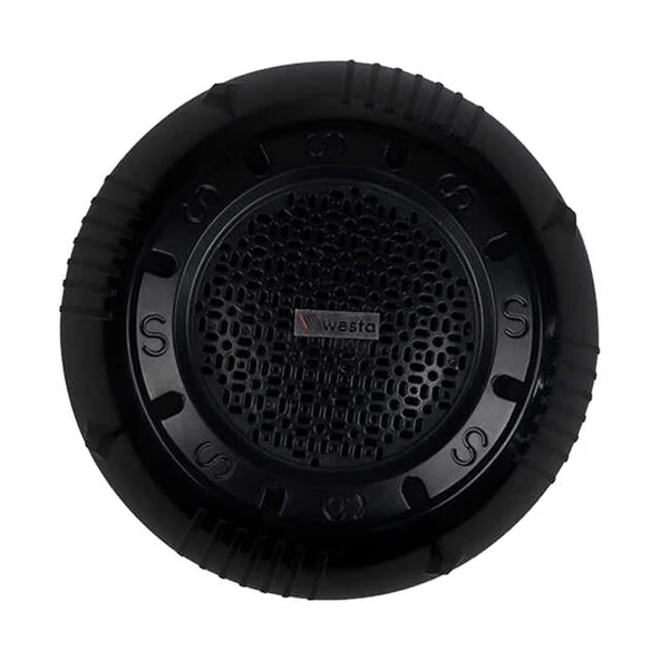 Westa WS-1119TB 13Cm Sıva Üstü Siyah Trafolu Tavan Hoparlörü 10 Watt ürün görseli 1