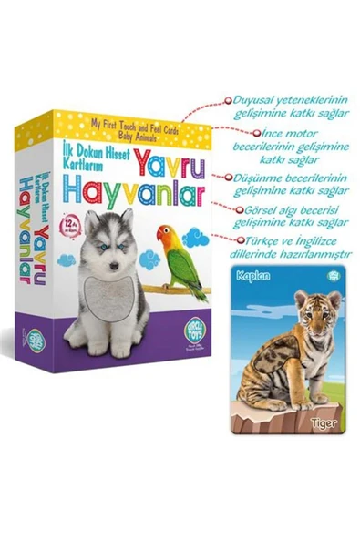 Circle Toys Dokun Hisset Yavru Hayvanlar 18 Kart,36 Görsel ürün görseli 1