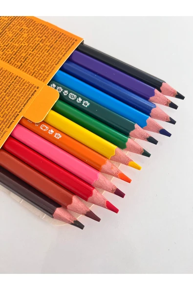 Bic evolution üçgen jumbo boya kalemi 12’li - Resim 2