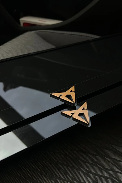 Cupra Özel Plakalık Pleksi - Resim 2