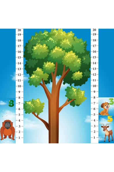 Learned Games Math Forest Matematik Ormanı Oyunu - Resim 7