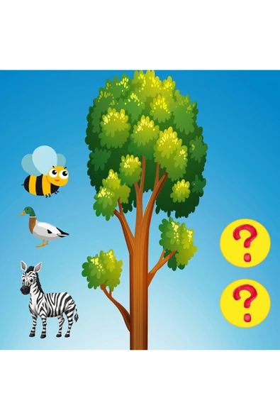 Learned Games Math Forest Matematik Ormanı Oyunu - Resim 5