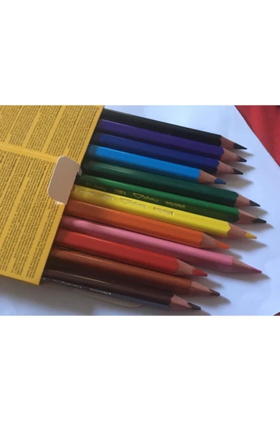 Bic Bıc Evolutıon Trıangle Üçgen Jumbo Kuru Boya 12 Renk - Resim 2