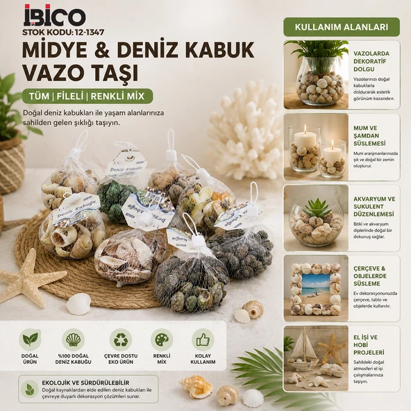 20 ADET FİLELİ RENKLİ MİX EKO MİDYE - DENİZ KABUK VAZO TAŞI (5433) ürün görseli 1