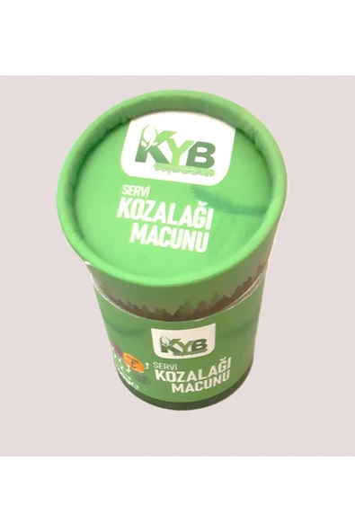 KYB KAYABEY SERVİ KOZALAĞI MACUNU - Resim 3