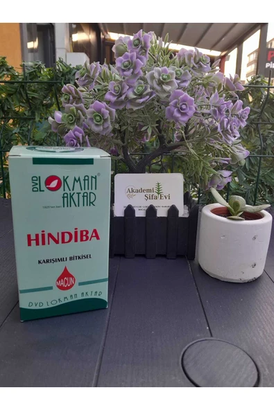 Lokman Aktar Hindibalı Macun 420 gr ürün görseli 1