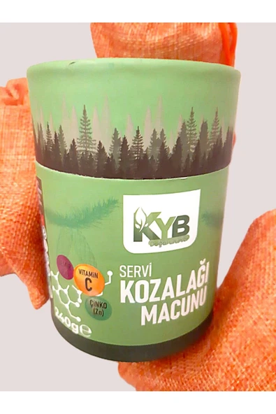 KYB KAYABEY SERVİ KOZALAĞI MACUNU - Resim 4