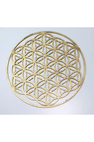 Yaşam Çiçeği 25 cm - Resim 3