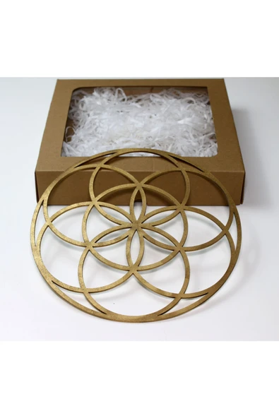 VİAH1-YAŞAMTOHUMU-01 Yaşam Tohumu Sembolü | Kutsal Geometri | Gold | 25cm ürün görseli 1