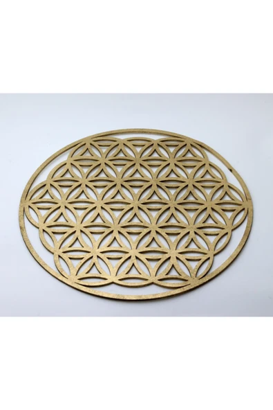 Yaşam Çiçeği 25 cm ürün görseli 1