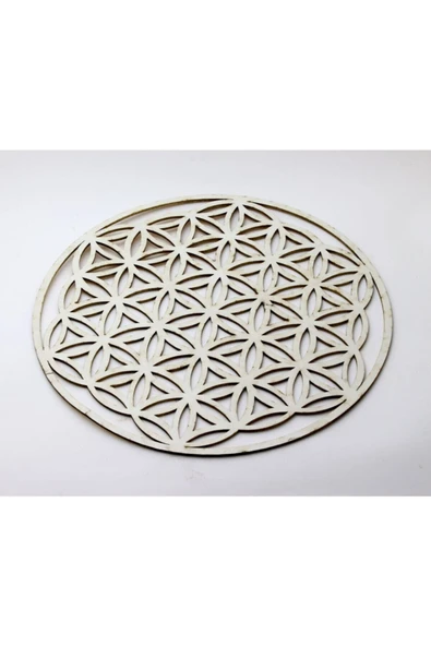 Yaşam Çiçeği 25 cm - Resim 2