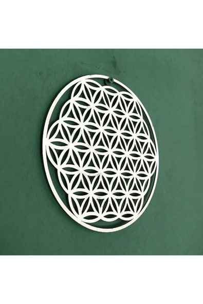 Yaşam Çiçeği 25 cm - Resim 5