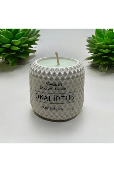 vivus in File Desenli Okaliptus kokulu %100 doğal Soya Mumu ürün görseli 1