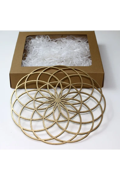Torus Sembolü Kutsal Geometri Tablo - 25cm ürün görseli 1