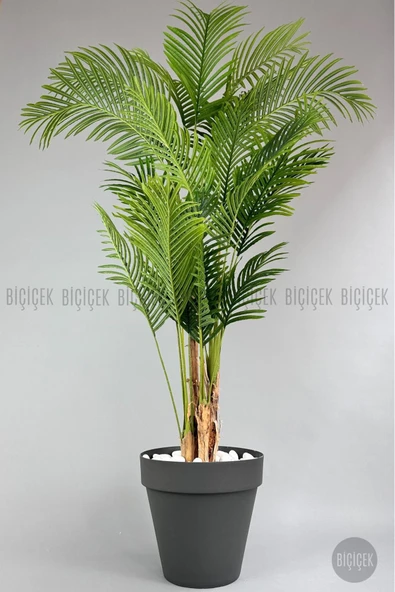 BİÇİÇEK Yapay Areka Ağaci 220 Cm 4 Gövdeli̇ Antresi̇t Yali Saksıda ürün görseli 1