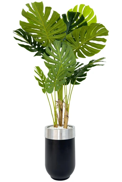 BİÇİÇEK Yapay Monstera Ağacı Deve Tabani 170 Cm Si̇yah Gümüş Darbuka Saksıda ürün görseli 1