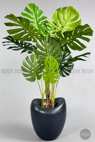 BİÇİÇEK Yapay Monstera Ağacı Deve Tabani 170 Cm Antresi̇t Lale Saksıda ürün görseli 1