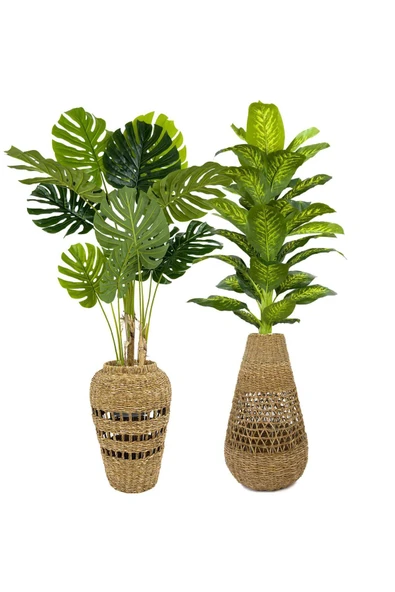 BİÇİÇEK Yapay Monstera Ve Di̇fenbahya Ağacı Bohem Saksıda ürün görseli 1