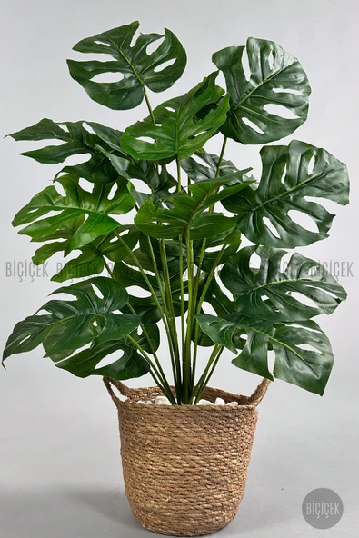 BİÇİÇEK Yapay Monstera Deve Tabani 65 Cm Kulplu Hasir Saksıda ürün görseli 1