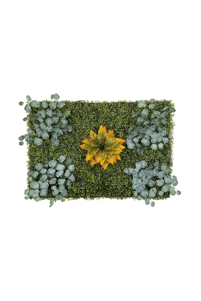 BİÇİÇEK Dikey Bahçe Duvar Paneli 120x80cm Model17 ürün görseli 1
