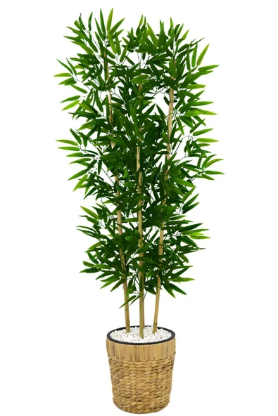 BİÇİÇEK Yapay Bambu Ağacı 140cm Su Sümbülü Hasır Saksıda ürün görseli 1