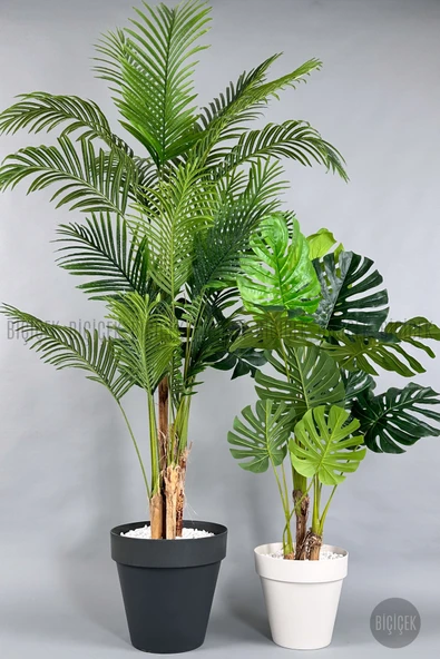 BİÇİÇEK Yapay Areka Palmi̇yesi̇ Ve Monstera Ağacı Yali Saksıda ürün görseli 1