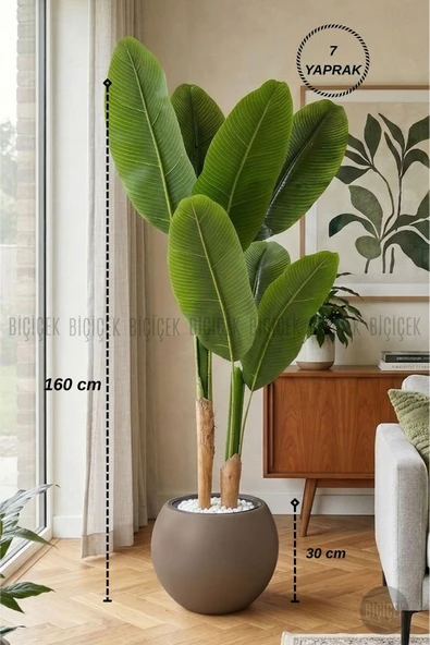 BİÇİÇEK Yapay Starli̇ce 160 Cm 7 Yapraklı Mocha Küre Saksıda ürün görseli 1