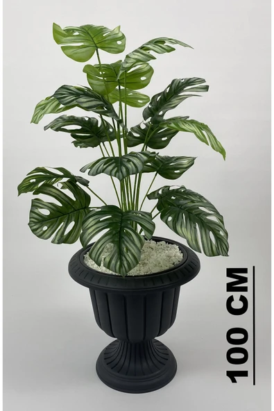 BİÇİÇEK Yapay Monstera Deve Tabani 70 Cm Antresi̇t Nergi̇s Saksıda ürün görseli 1
