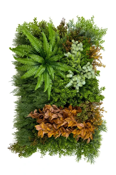 BİÇİÇEK Dikey Bahçe Duvar Paneli 120x80cm Model30 - Resim 6