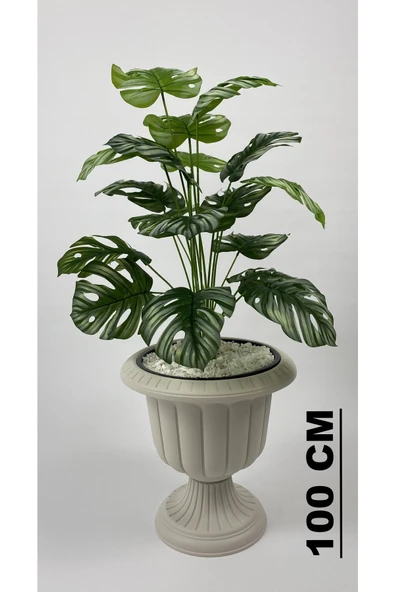 BİÇİÇEK Yapay Monstera Deve Tabani 70 Cm Krem Nergi̇s Saksıda ürün görseli 1