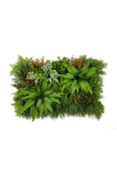 BİÇİÇEK Dikey Bahçe Duvar Paneli 120x80cm Model29 ürün görseli 1