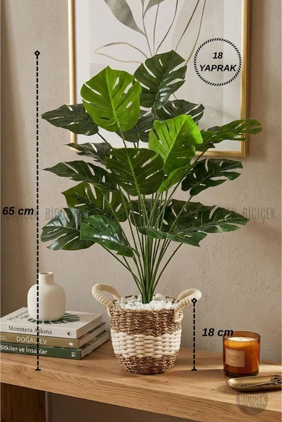 BİÇİÇEK Yapay Monstera Deve Tabani Bi̇tki̇si̇ 60 Cm Krem Orgulu Hasir Saksıda ürün görseli 1