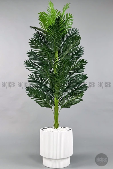 BİÇİÇEK Yapay Areka Ağaci 180 Cm Beyaz Vega Saksıda Tek Gövdeli̇ ürün görseli 1