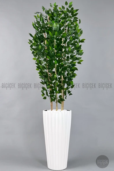 BİÇİÇEK Yapay Benjamin Ağacı 6 Dallı Yoğun Yapraklı 220 Cm Beyaz Lilyum Saksıda ürün görseli 1
