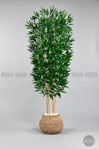 BİÇİÇEK Yapay Bambu Ağacı 170cm Geoit Hasır Saksıda - Resim 6